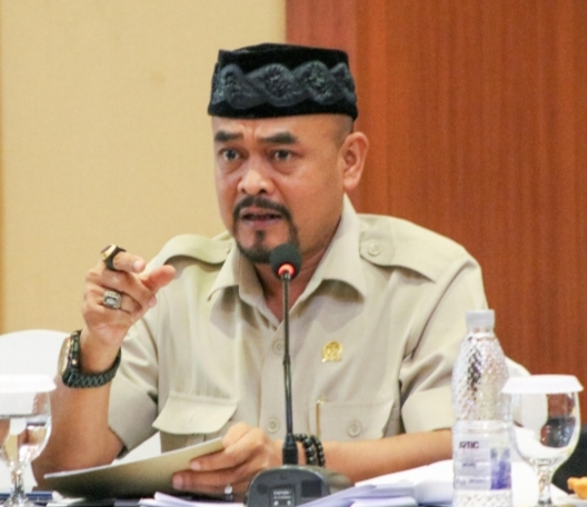 Anggota Komisi A DPRD Kota Depok yang juga merupakan Ketua Fraksi Gerindra Depok, Edi Masturo pada Selasa (16/12).