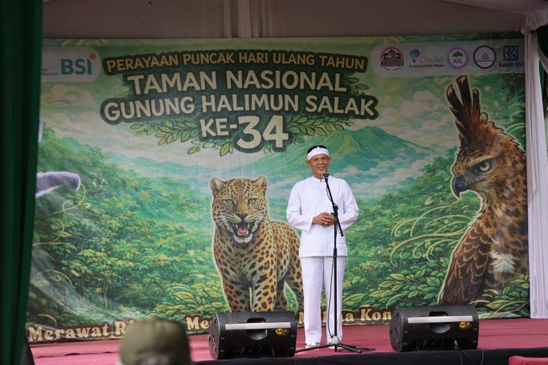 Wakil Bupati Bogor Jaro Ade (dok. IST)