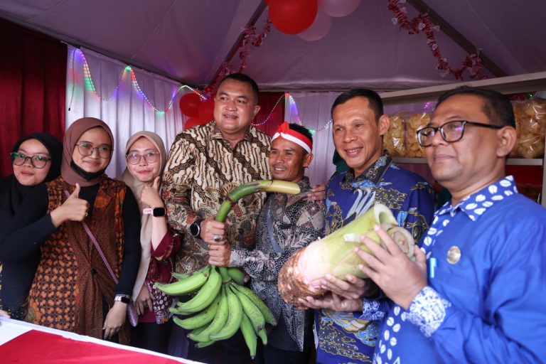 Bupati Bogor Rudy Susmanto dan Wakil Bupati Bogor Ade Ruhandi (dok. Istimewa)